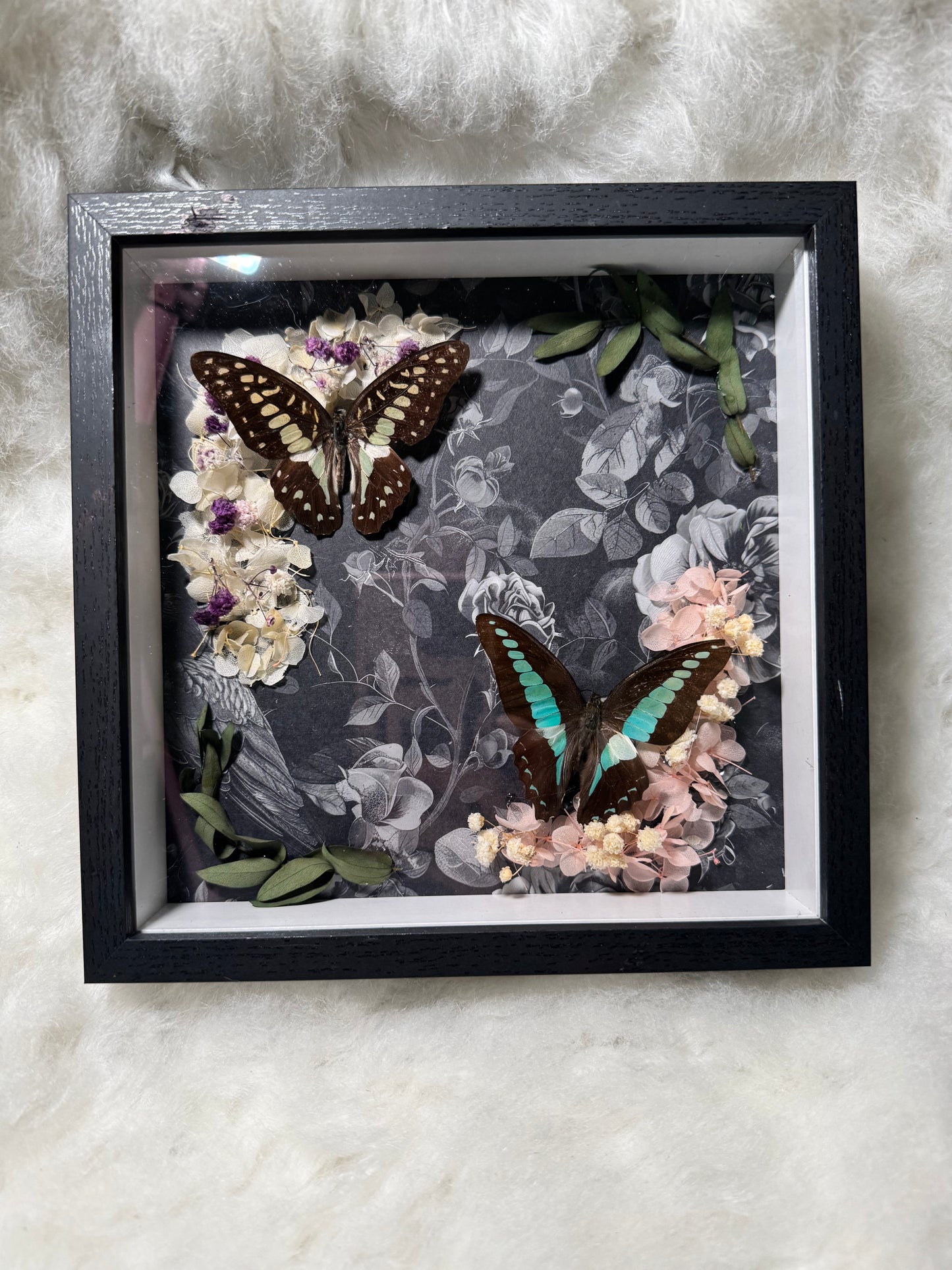 Real Butterfly & pressed flowers Shadowbox | Real Butterfly | Taxidermy | Gothic Decor | Oddity | Curiosity)