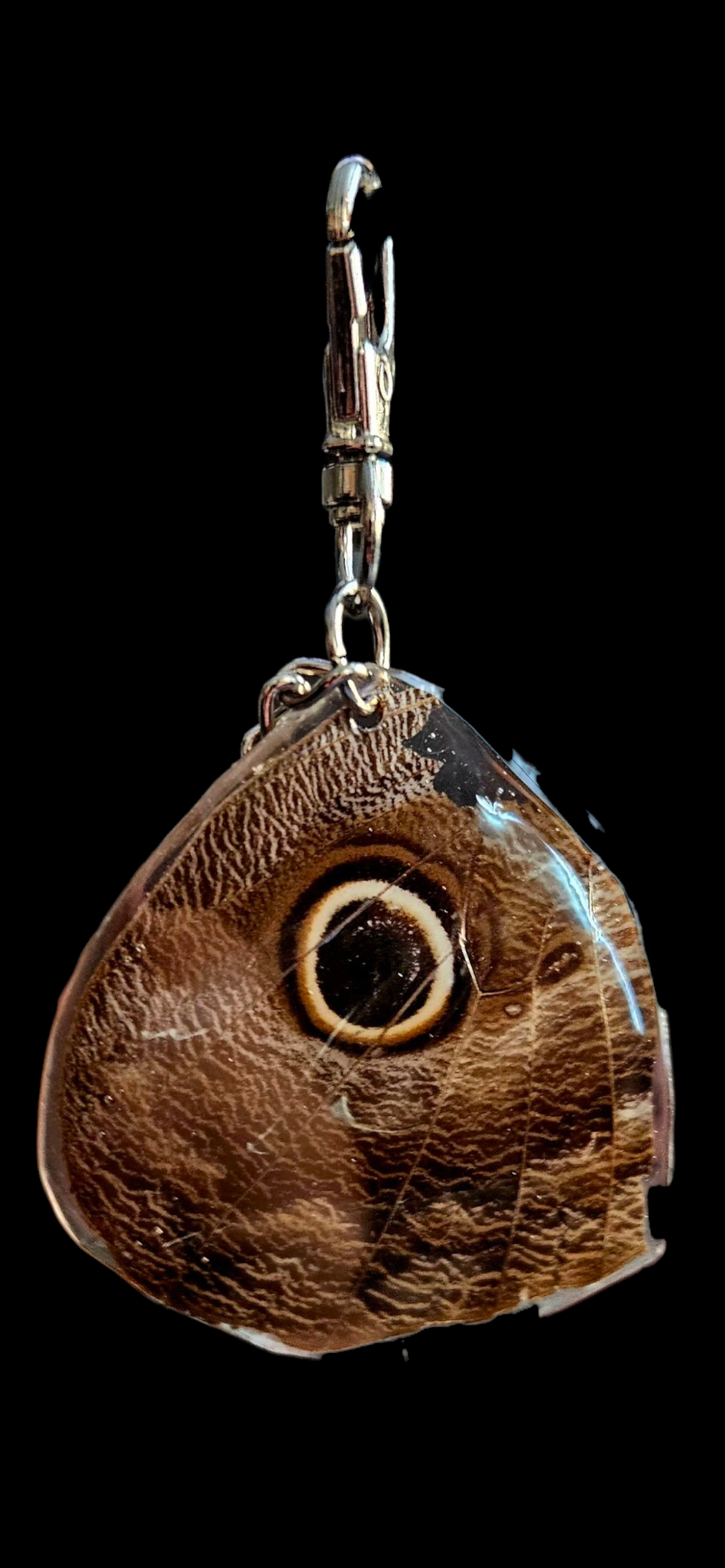 Giant Owl Moth Keychain 2.0