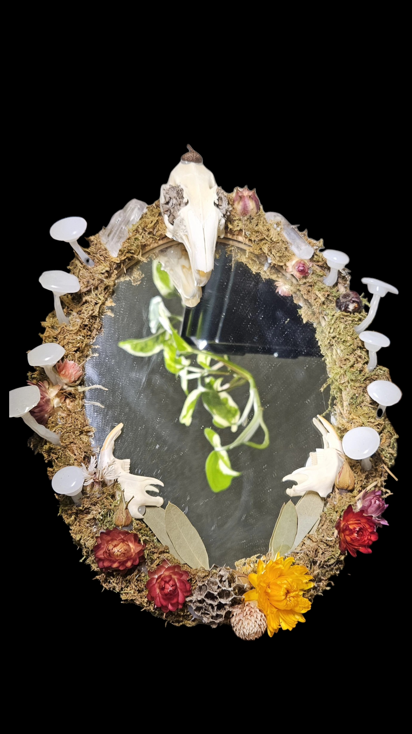 Mushroom Mirror (Large)