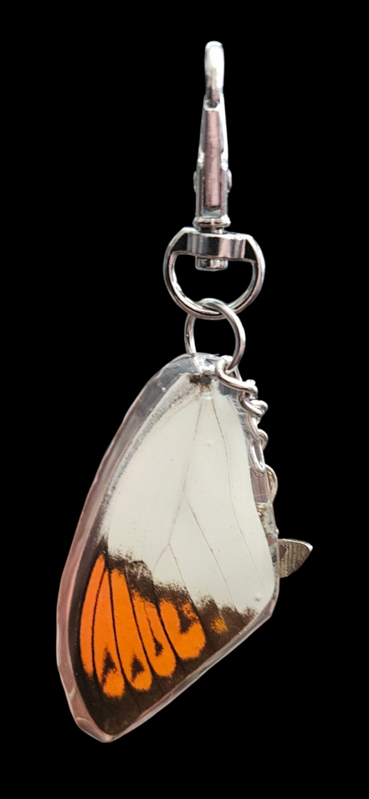 Hebomoia glaucippe butterfly keychain