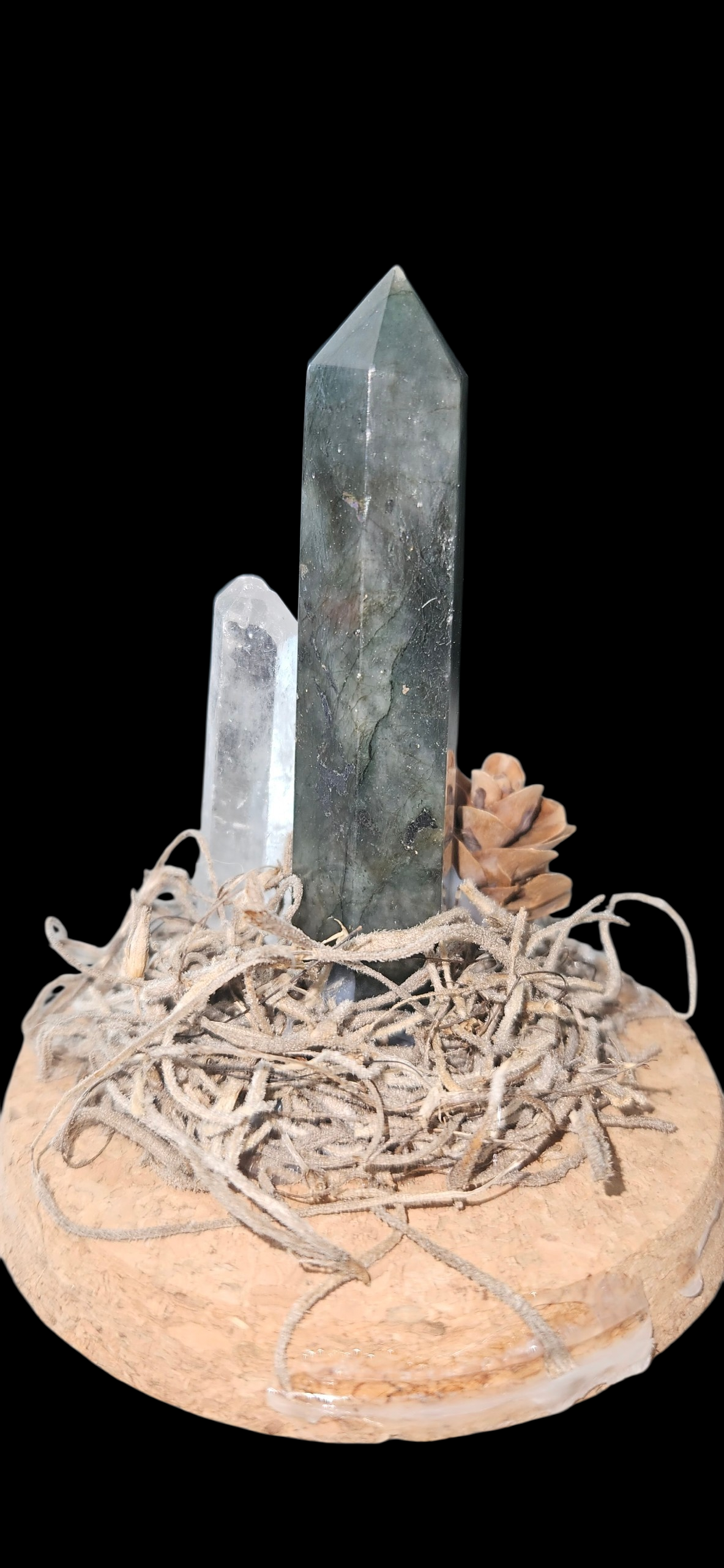 Kodama Dome