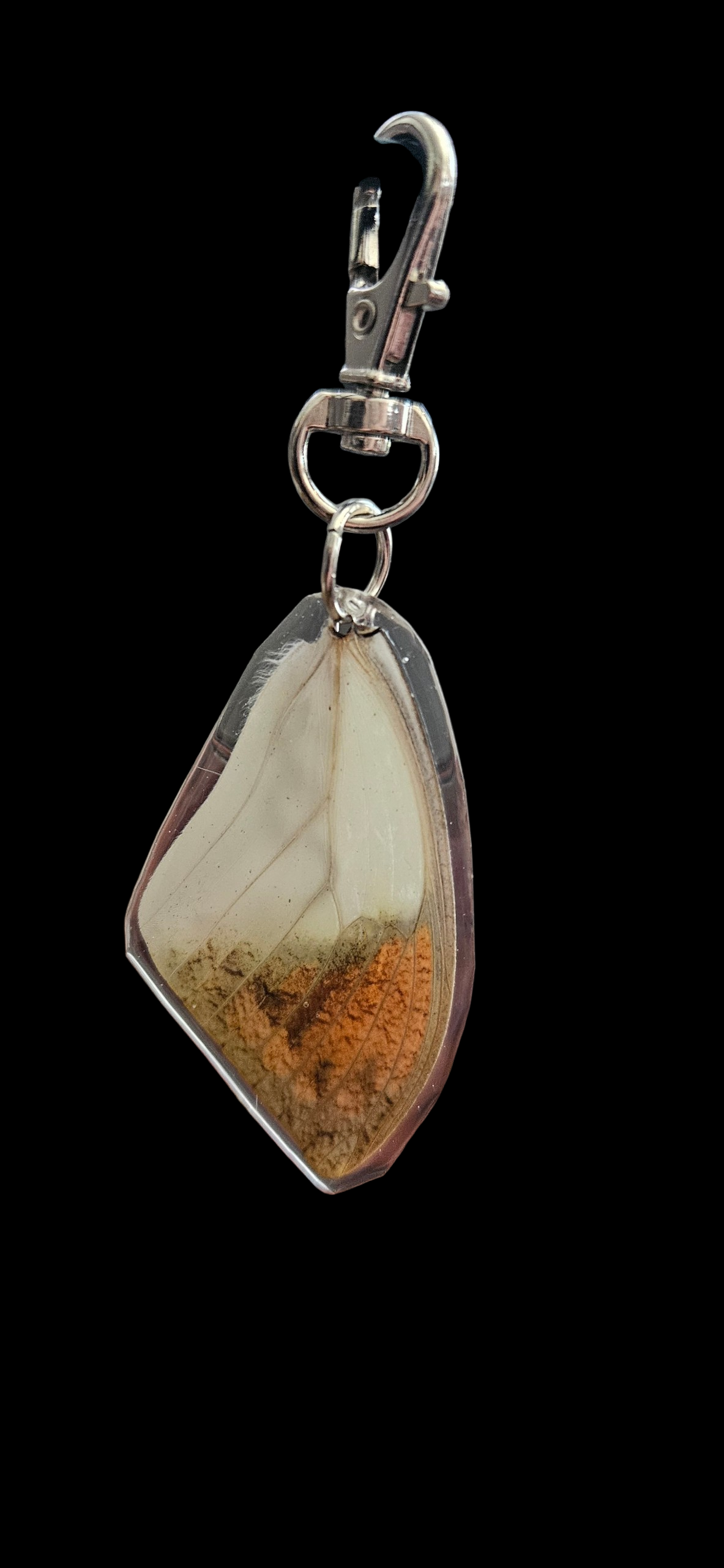 Hebomoia glaucippe butterfly keychain