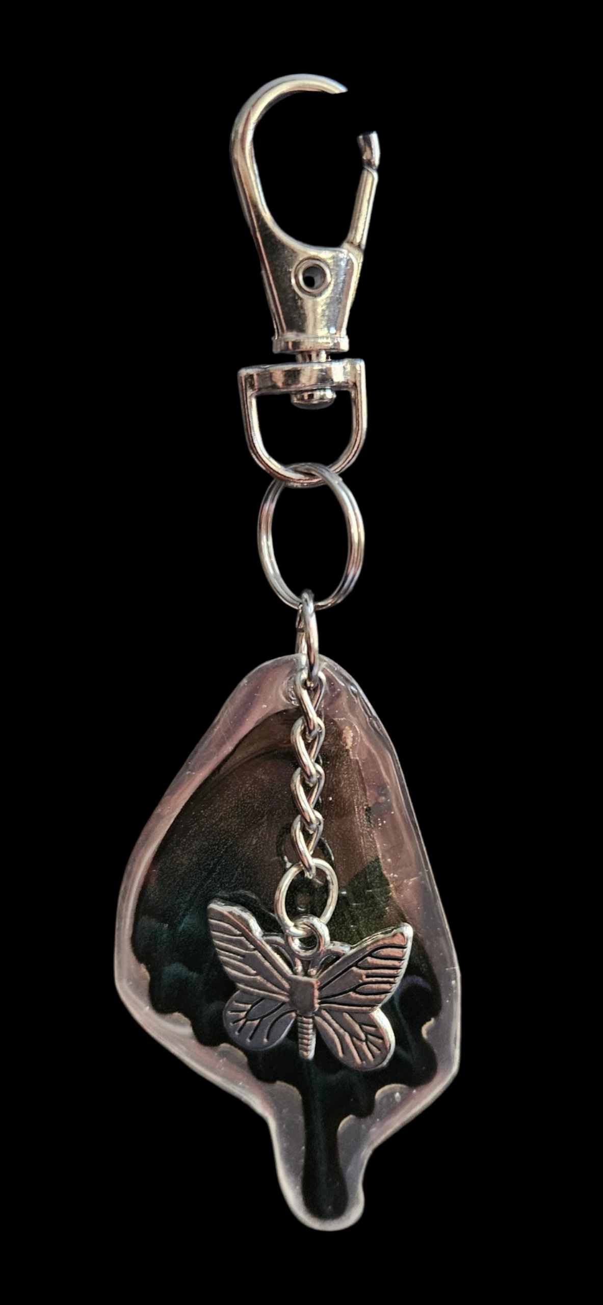 Alpine Black Swallowtail (Papilio Maacki)